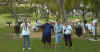 Camera bugs.jpg (83787 bytes)