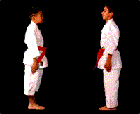 Shito Ryu Genbu Kai Karate Kathi Wegener Fumio Demura Martial Arts Supplies Karate Instruction
